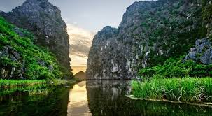 TAM COC